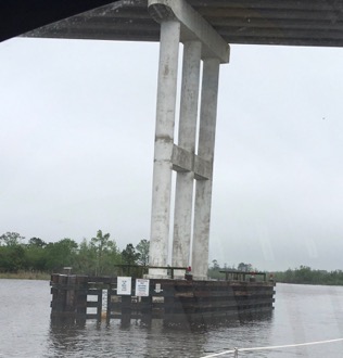 Pungo Ferry Br 28Apr16 1